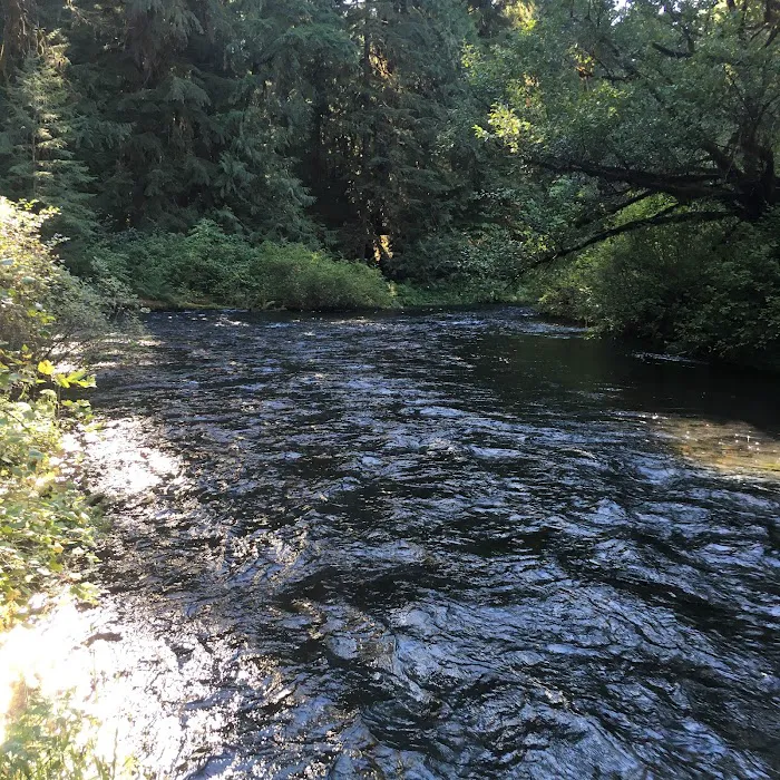 Limberlost Campground 1