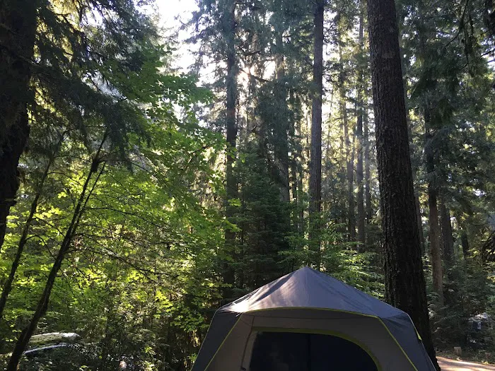 Limberlost Campground 0