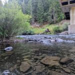 Cougar Crossing Campground And Day Use Area