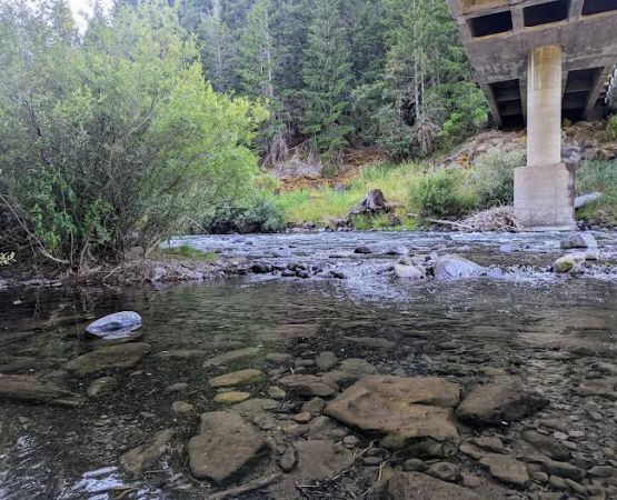 Cougar Crossing Campground And Day Use Area
