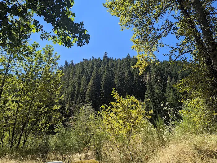 Cougar Crossing Campground And Day Use Area 1