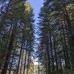 Hard Rock Group Campground