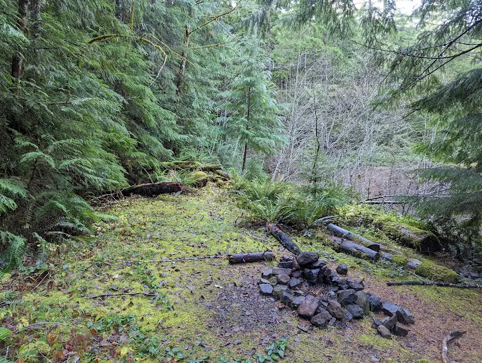 Hard Rock Group Campground 2