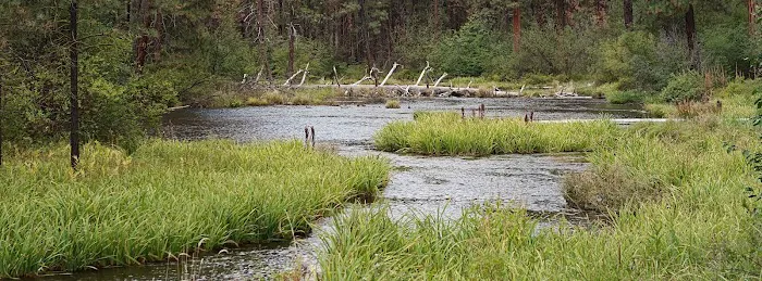Riverside Campground 0