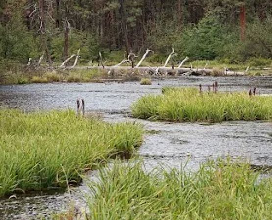 Riverside Campground