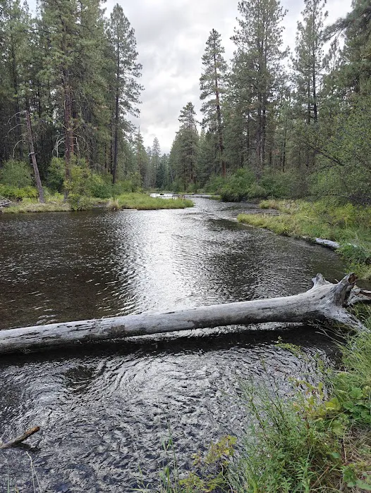 Riverside Campground 1