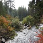 Cinder Beach Day Use Area