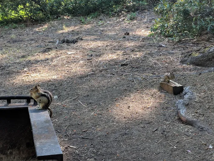 Blue Bay Campground 9