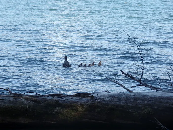 South Shore Boating Site 0