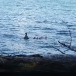 South Shore Boating Site