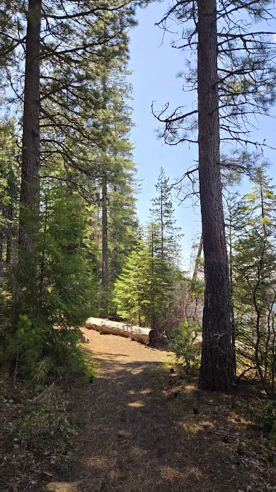 South shore campground 3