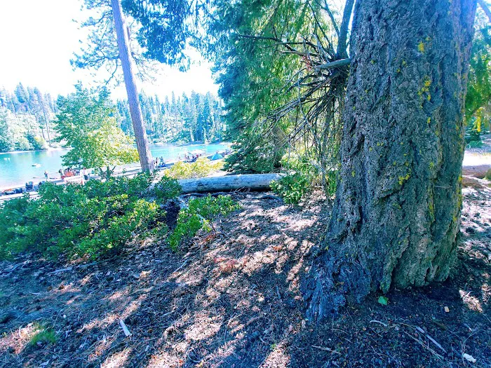 Scout Lake Campground 7