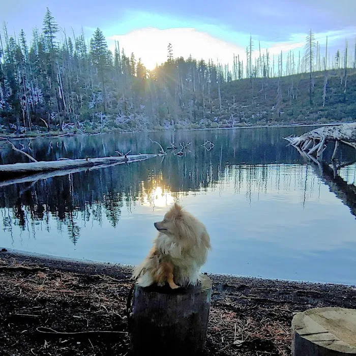 Scout Lake Campground 4