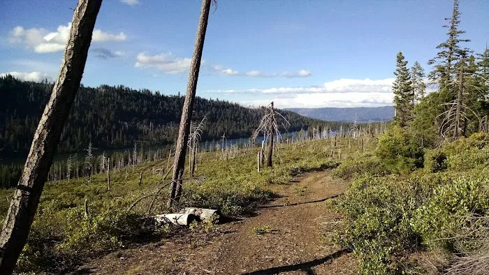 Scout Lake Campground 8