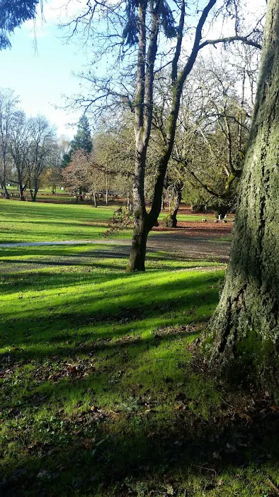 Pioneer Park 9