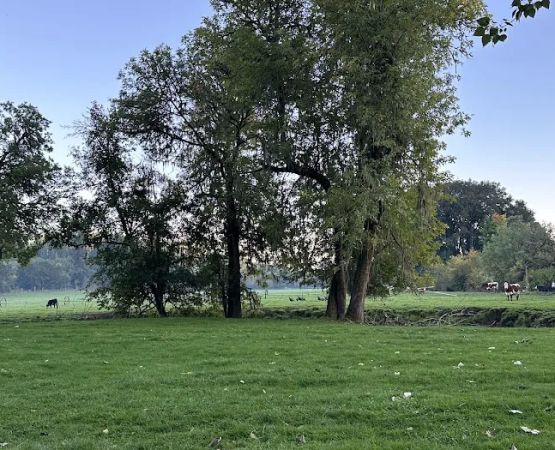 Slow Your Roll Abodes Glamping