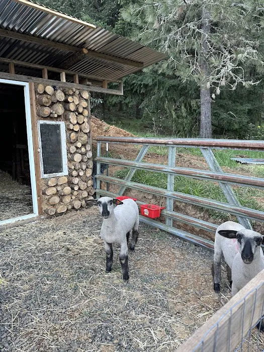 Slow Your Roll Abodes Glamping 7