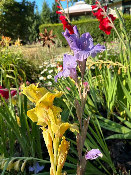 Fernwood Retreat at Bloom Hill Farm 3