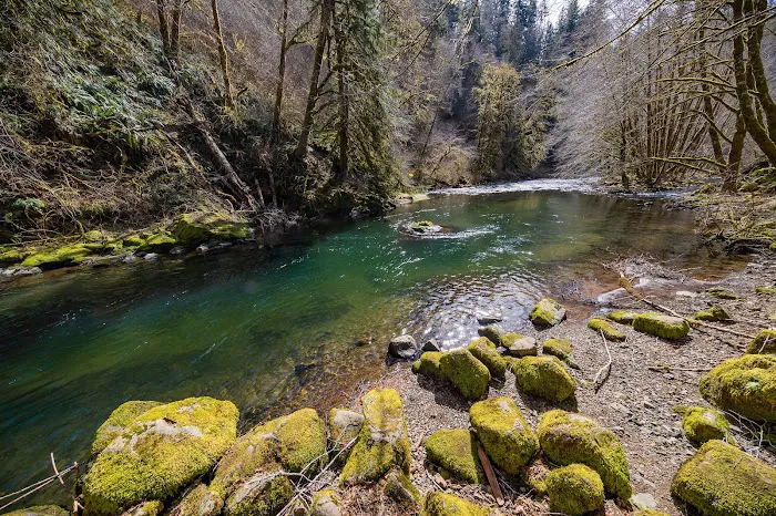 Nestucca River Recreation Area 7