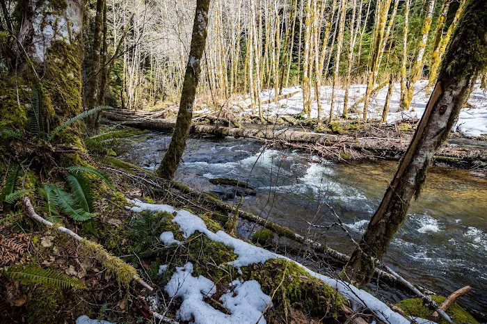 Nestucca River Recreation Area 8