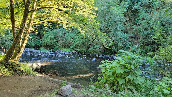 Alder Glen Recreation Site 3