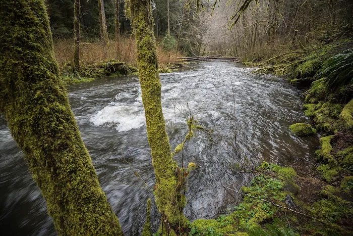 Alder Glen Recreation Site 4