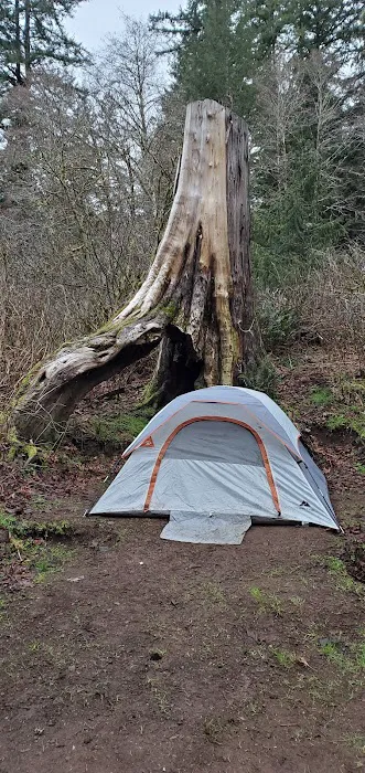 Alder Glen Recreation Site 2