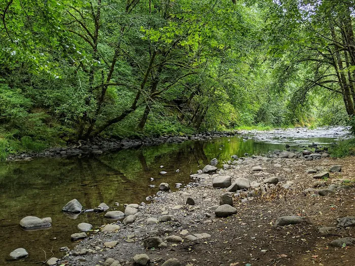 Alder Glen Recreation Site 1