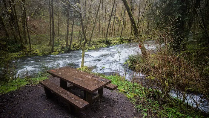 Alder Glen Recreation Site 9