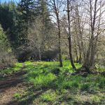 Rocky Bend Campground