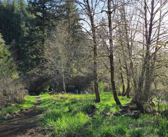Rocky Bend Campground