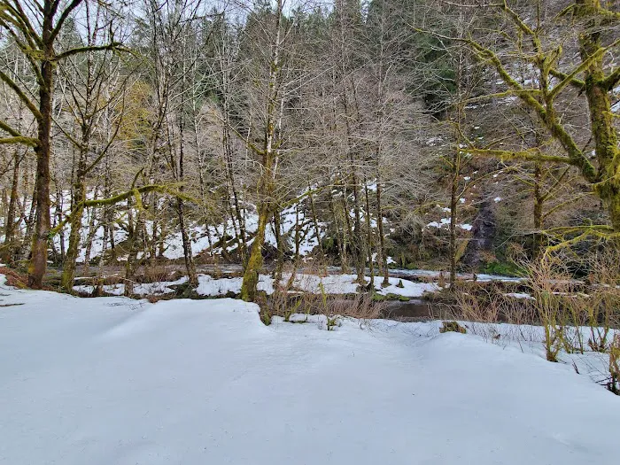 Rocky Bend Campground 4