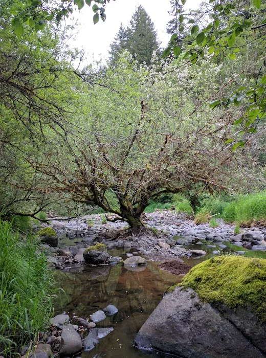 Rocky Bend Campground 8