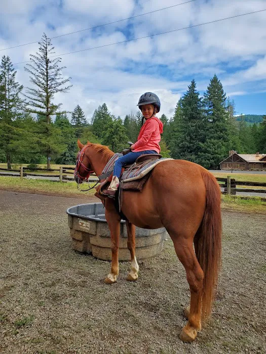 Flying M Ranch 1