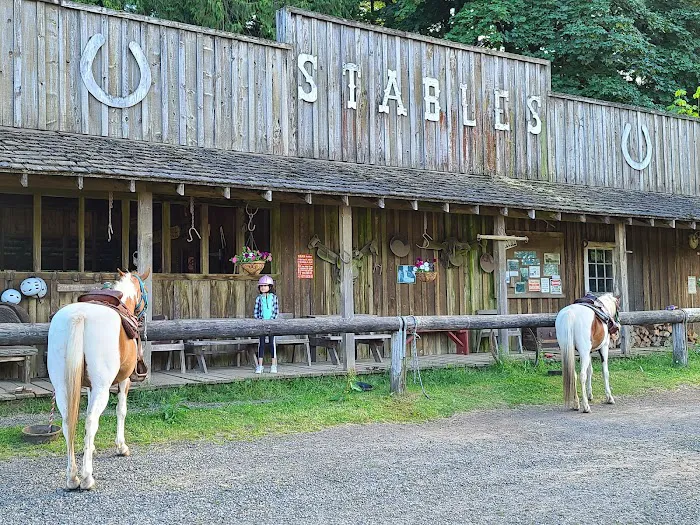 Flying M Ranch 4