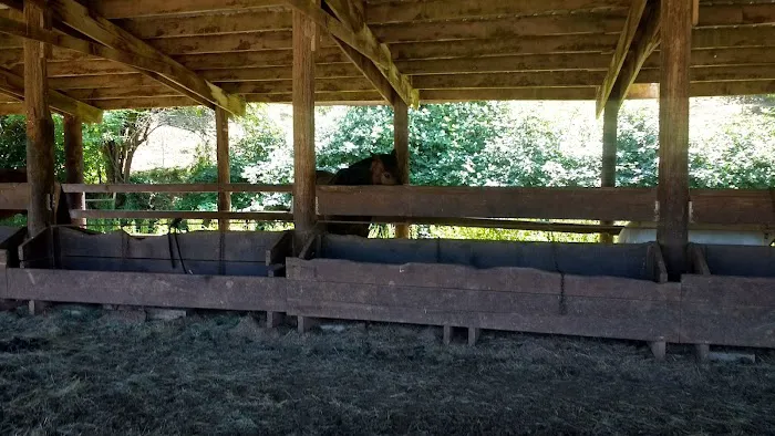 Flying M Ranch 8