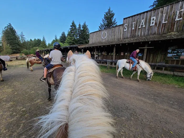 Flying M Ranch 5