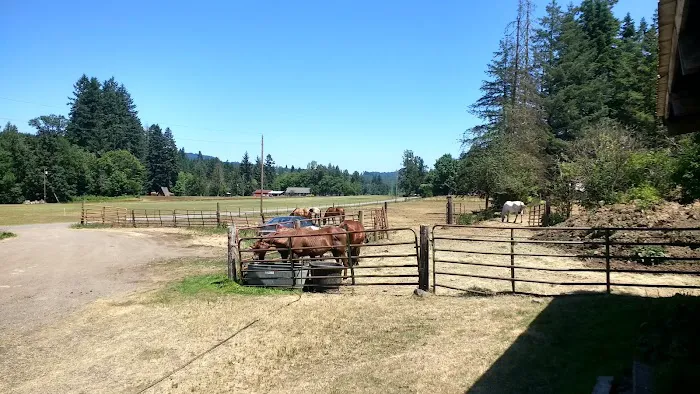 Flying M Ranch 7