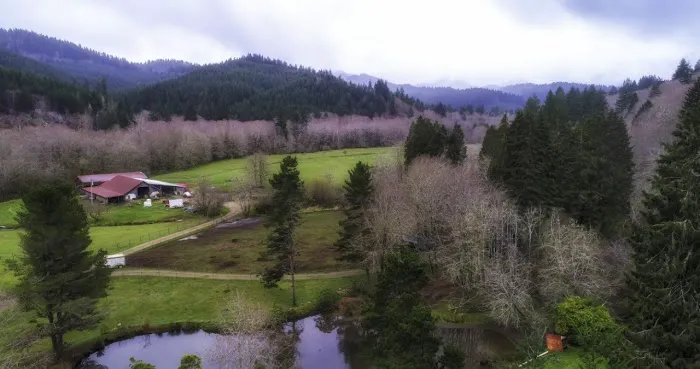 Powder Creek Campground 3