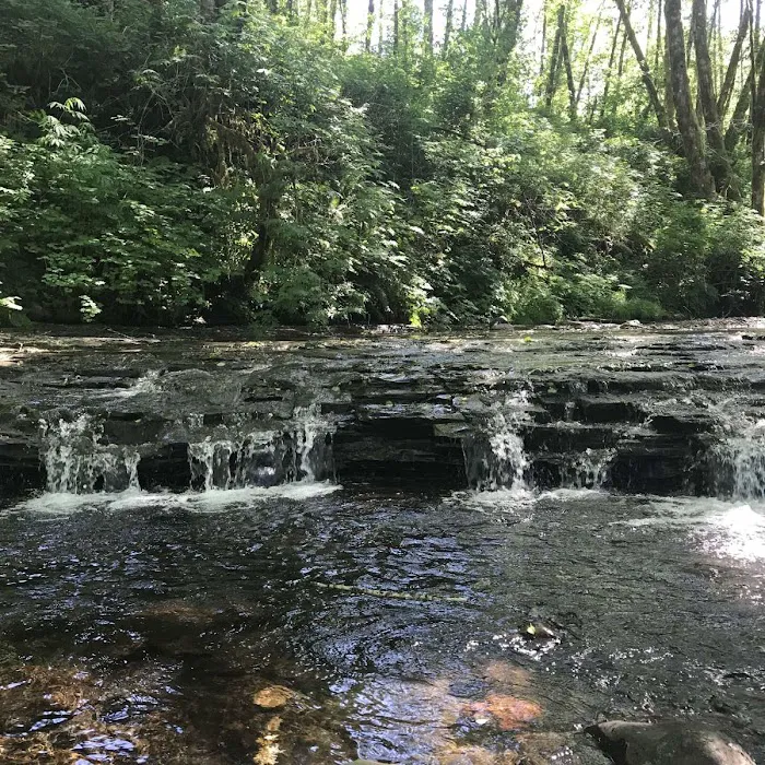 Powder Creek Campground 6