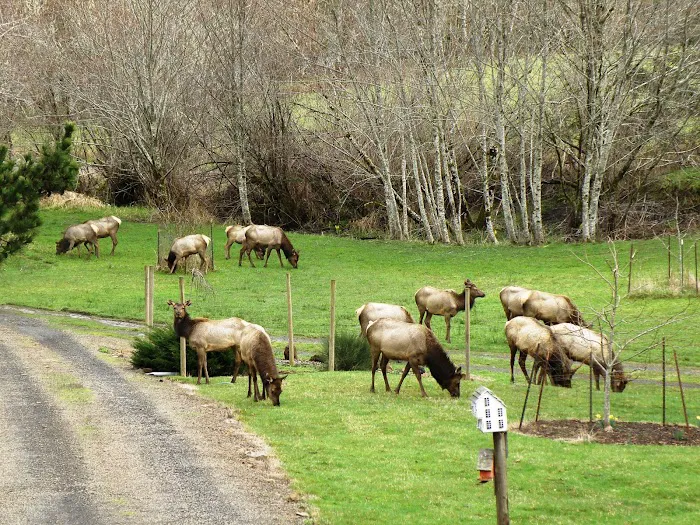 Powder Creek Campground 9