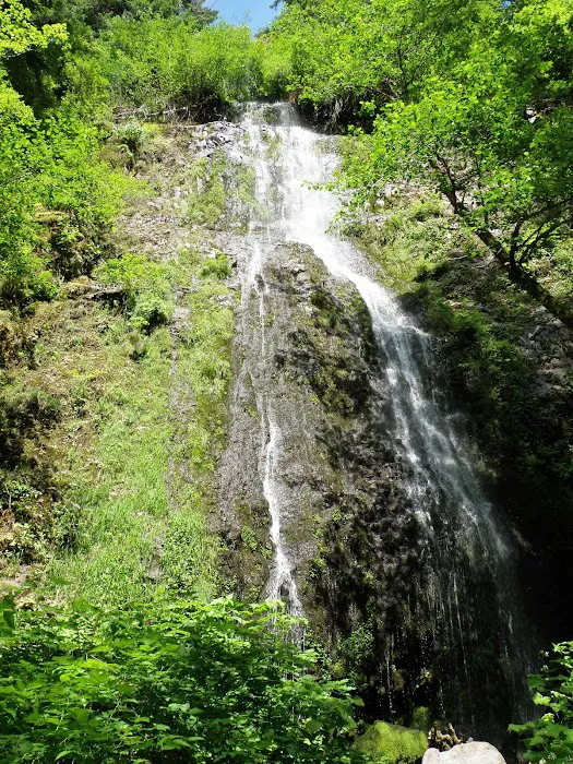 Powder Creek Campground 7