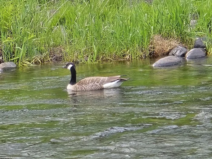 Trask River RV Park 1