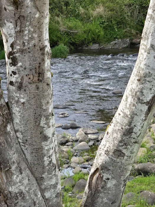 Trask River RV Park 0