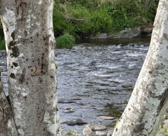 Trask River RV Park