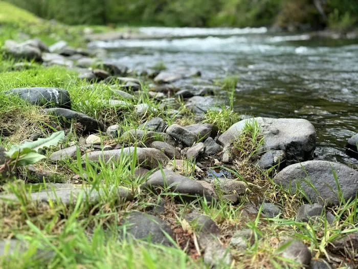 Trask River RV Park 6