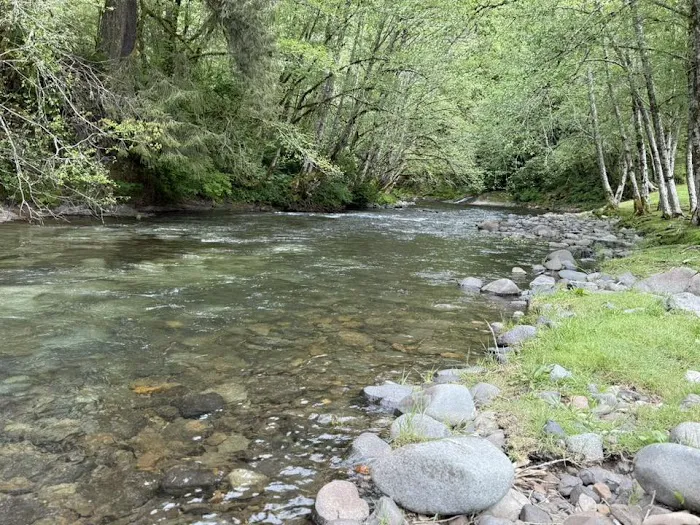 Trask River RV Park 5