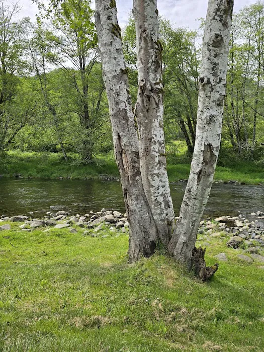 Trask River RV Park 8