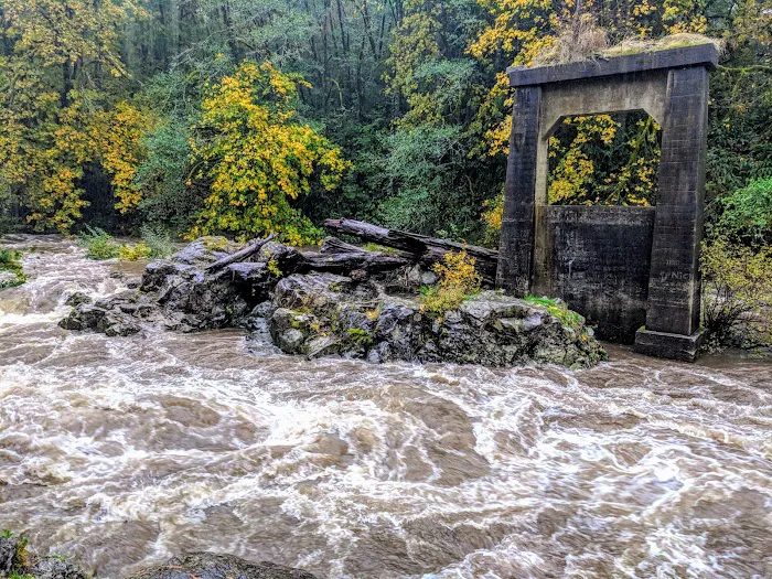Trask River County Campground 1