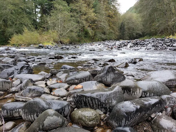 Trask River County Campground 2